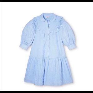 Women's Gingham 3/4 Sleeve Shirtdress - Sandy Liang x Target Blue.